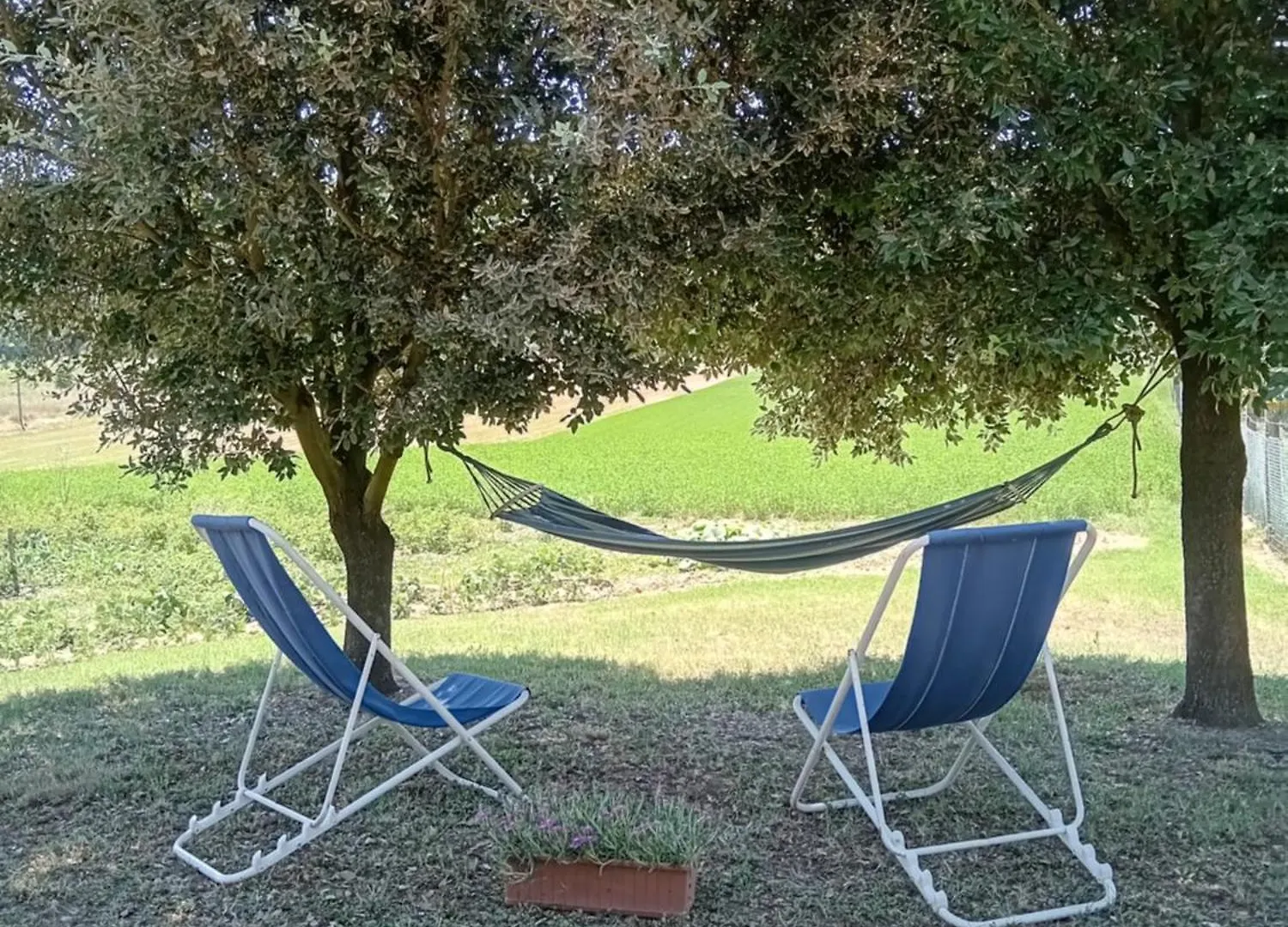 Farm stay Agriturismo Podere Bellosguardo Villamagna  Italy