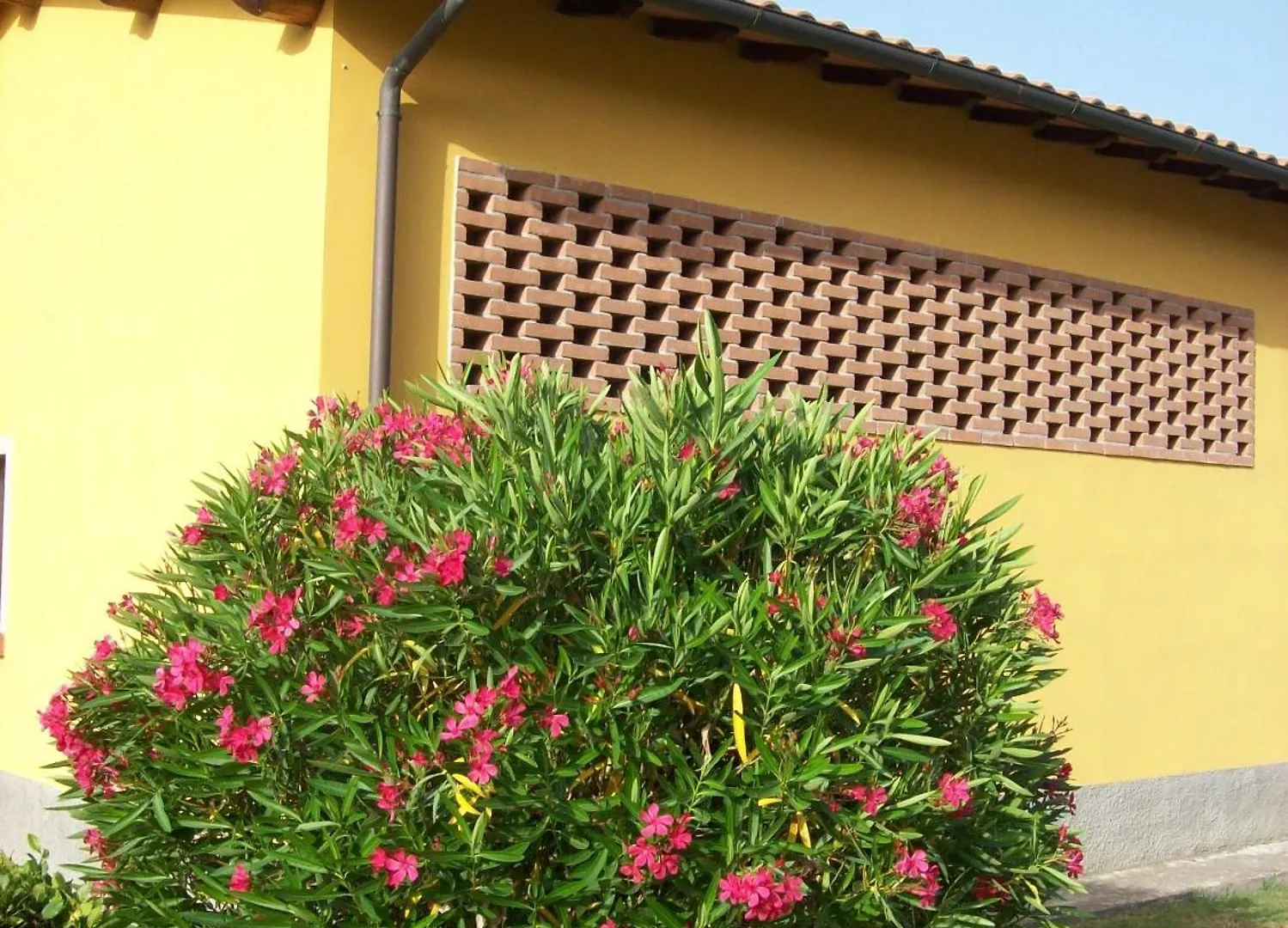 Farm stay Agriturismo Podere Bellosguardo Villamagna